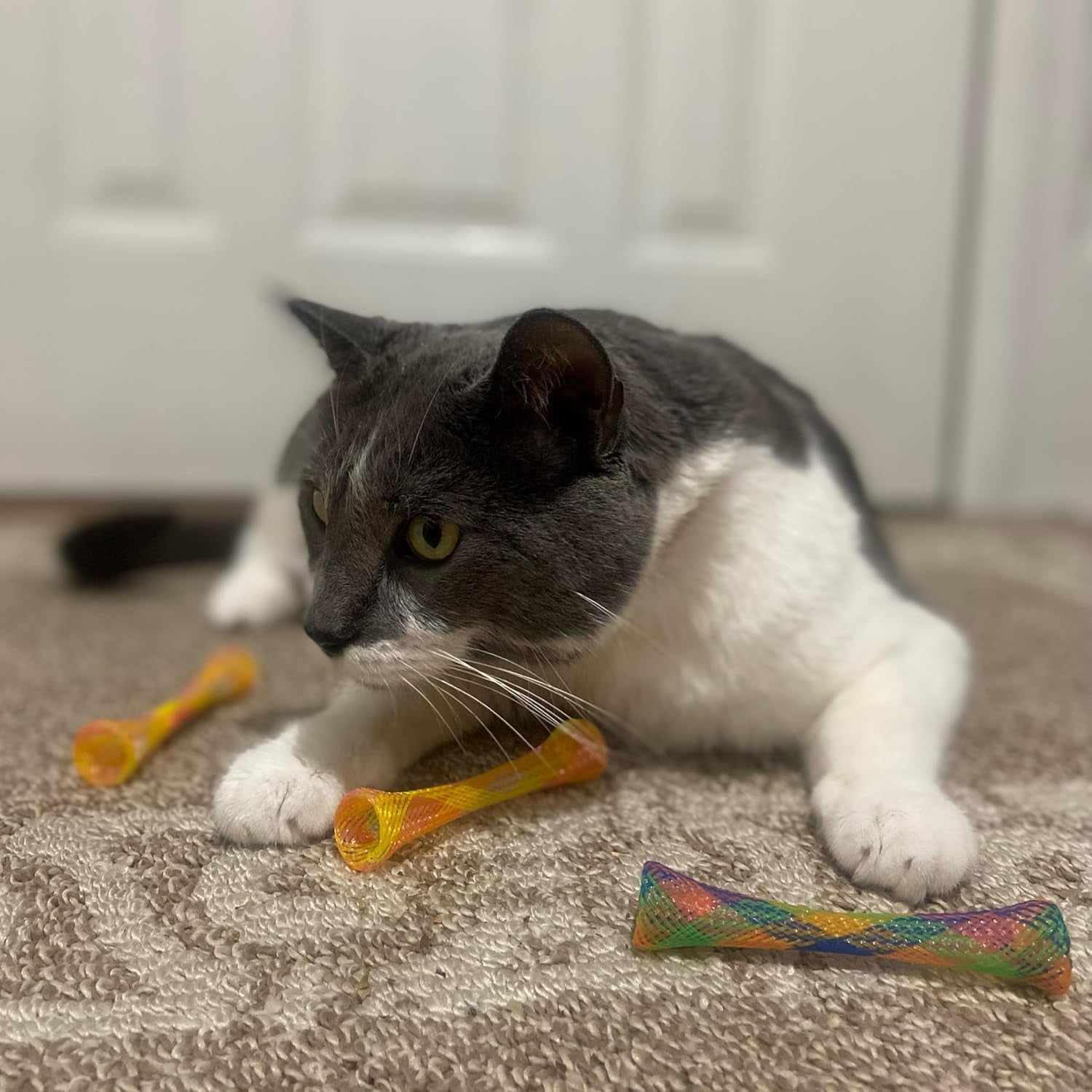Kitty Fun Tubes Cat Toy with Catnip inside | Bouncy Interactive Mesh Toy for Cats and Kittens to Bite, Swat and Chase | 3 Pieces