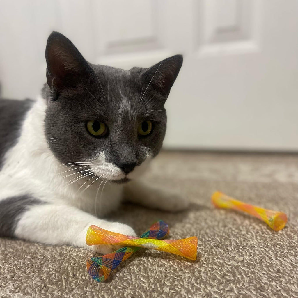 Kitty Fun Tubes Cat Toy with Catnip inside | Bouncy Interactive Mesh Toy for Cats and Kittens to Bite, Swat and Chase | 3 Pieces