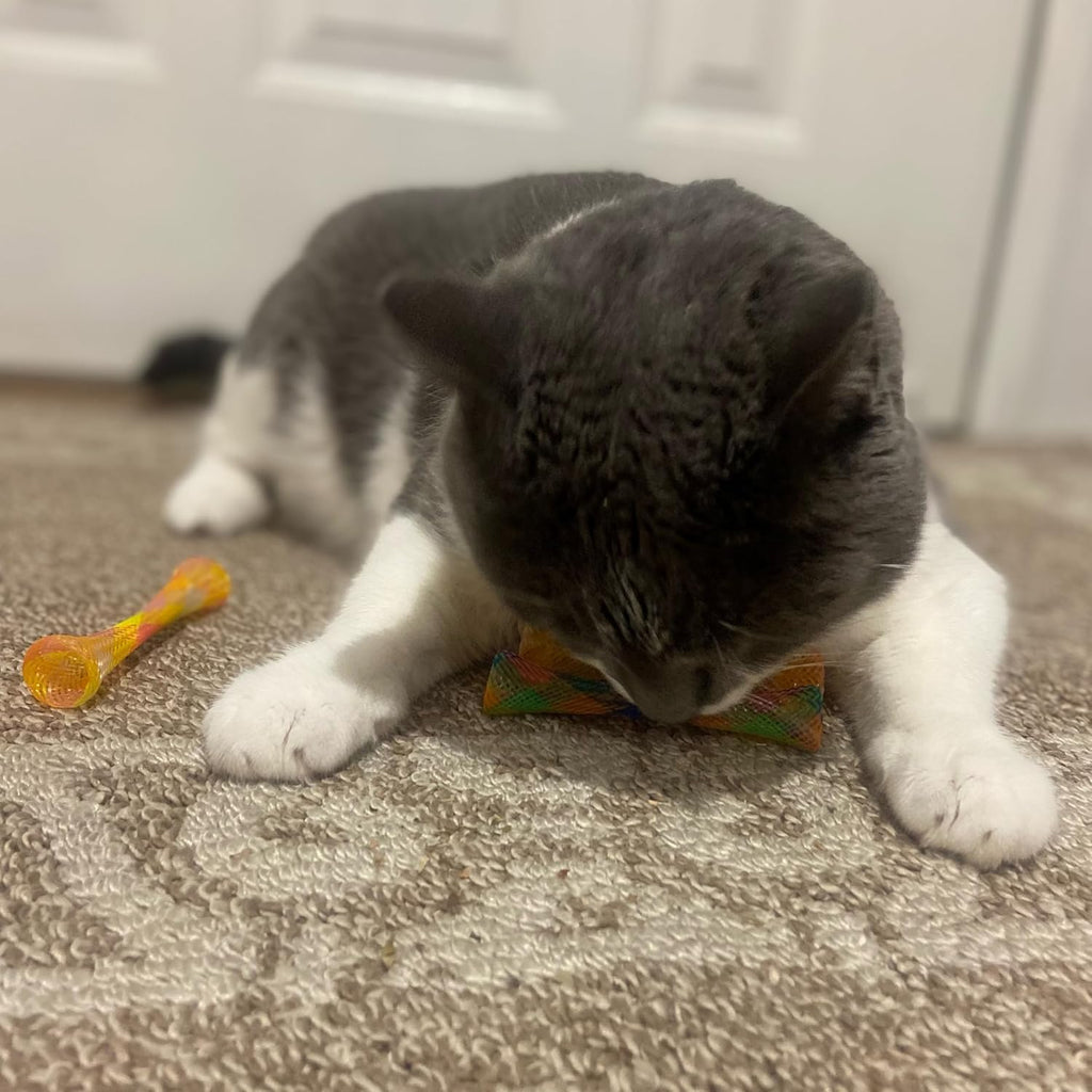 Kitty Fun Tubes Cat Toy with Catnip inside | Bouncy Interactive Mesh Toy for Cats and Kittens to Bite, Swat and Chase | 3 Pieces